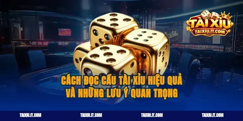Cách đọc cầu tài xỉu hiệu quả và những lưu ý quan trọng