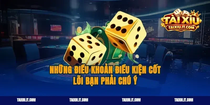 Những điều khoản điều kiện cốt lõi bạn phải chú ý