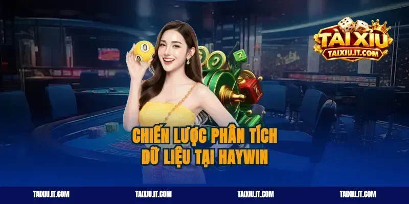 Chiến lược phân tích dữ liệu tại haywin