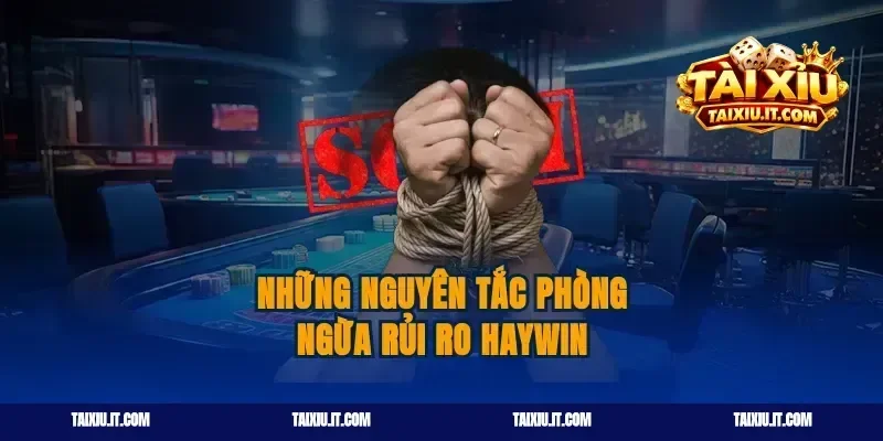 Những nguyên tắc phòng ngừa rủi ro haywin