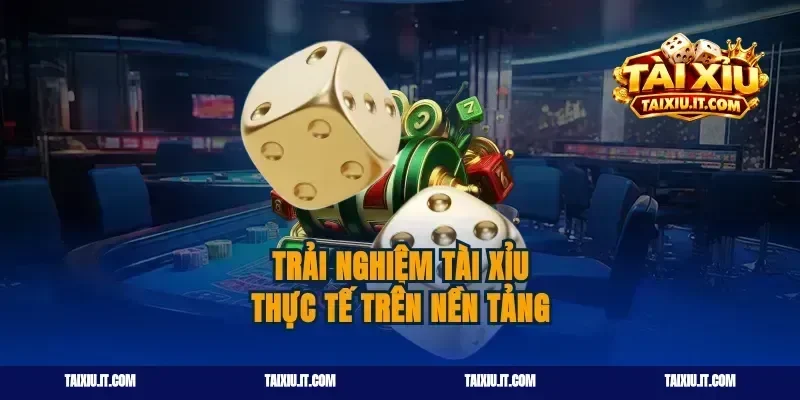 Trải Nghiệm Tài Xỉu Thực Tế Trên Nền Tảng
