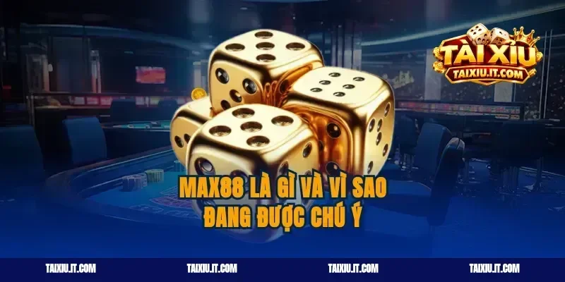 Max88 là gì và vì sao đang được chú ý