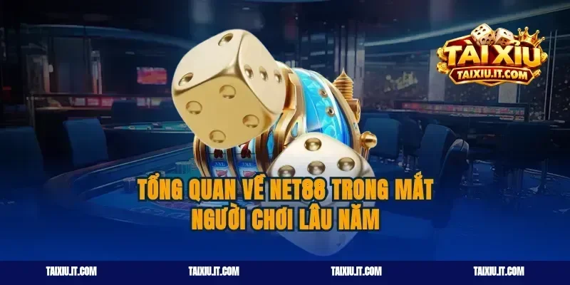 Tổng quan về Net88 trong mắt người chơi lâu năm