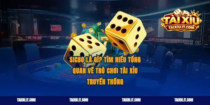 Sicbo là gì? Tìm hiểu tổng quan về trò chơi tài xỉu truyền thống