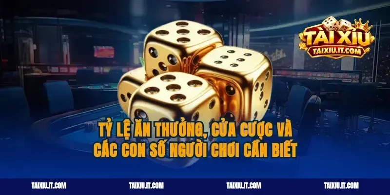 Tỷ lệ ăn thưởng, cửa cược và các con số người chơi cần biết