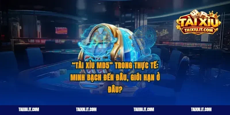 “Tài xỉu MD5” trong thực tế: minh bạch đến đâu, giới hạn ở đâu?