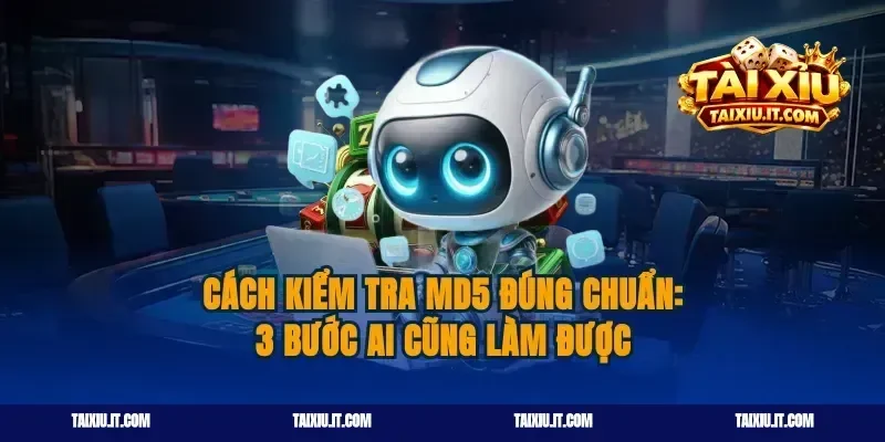 Cách kiểm tra MD5 đúng chuẩn: 3 bước ai cũng làm được