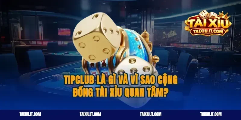 Tipclub là gì và vì sao cộng đồng tài xỉu quan tâm?
