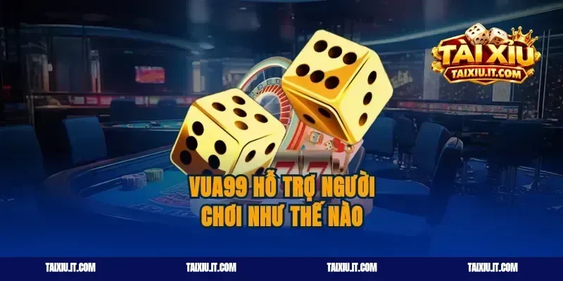 Vua99 Hỗ Trợ Người Chơi Như Thế Nào